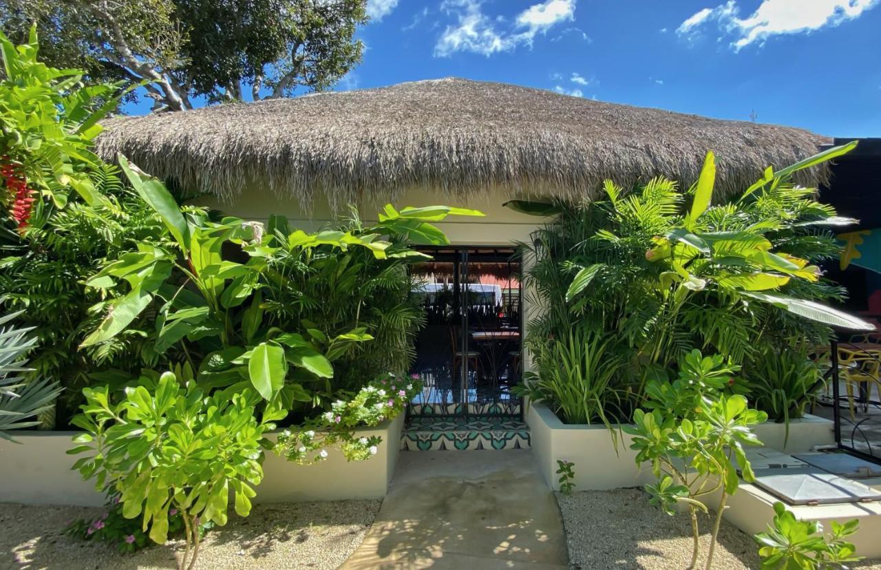 Blue Palm Bacalar Hotel ภายนอก รูปภาพ