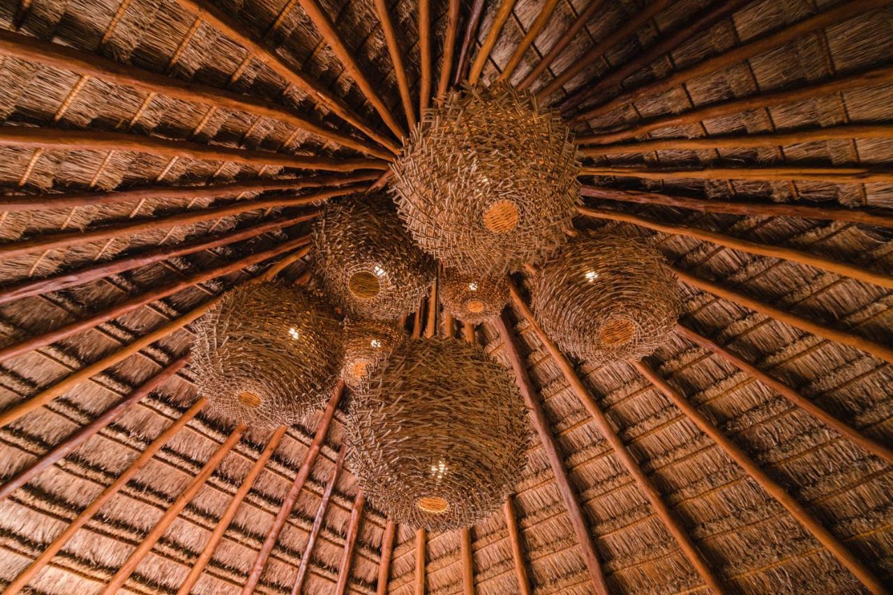 Blue Palm Bacalar Hotel ภายนอก รูปภาพ